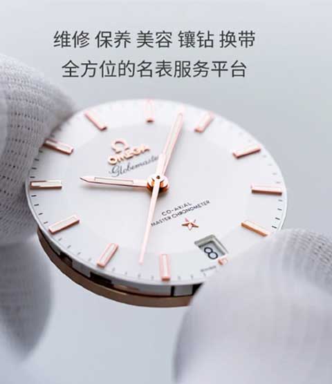 维修诺莫斯